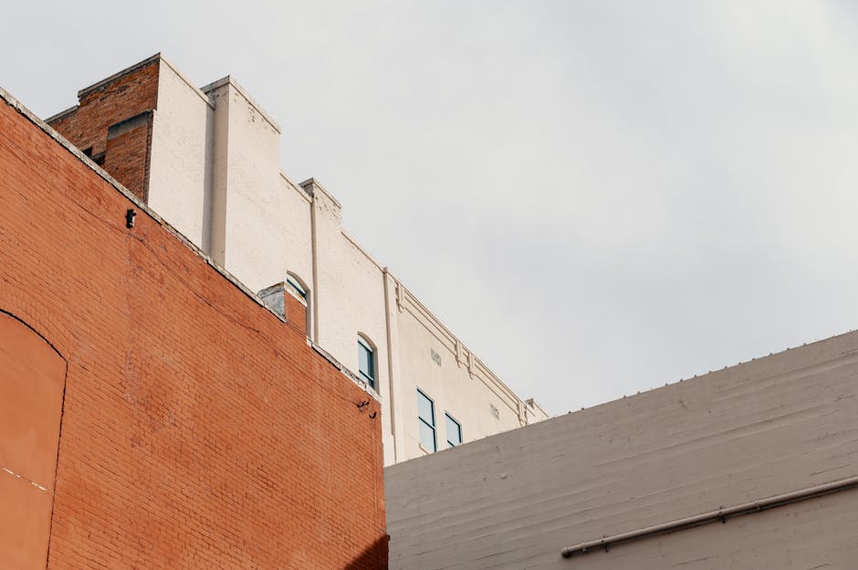 Students walking on a campus path